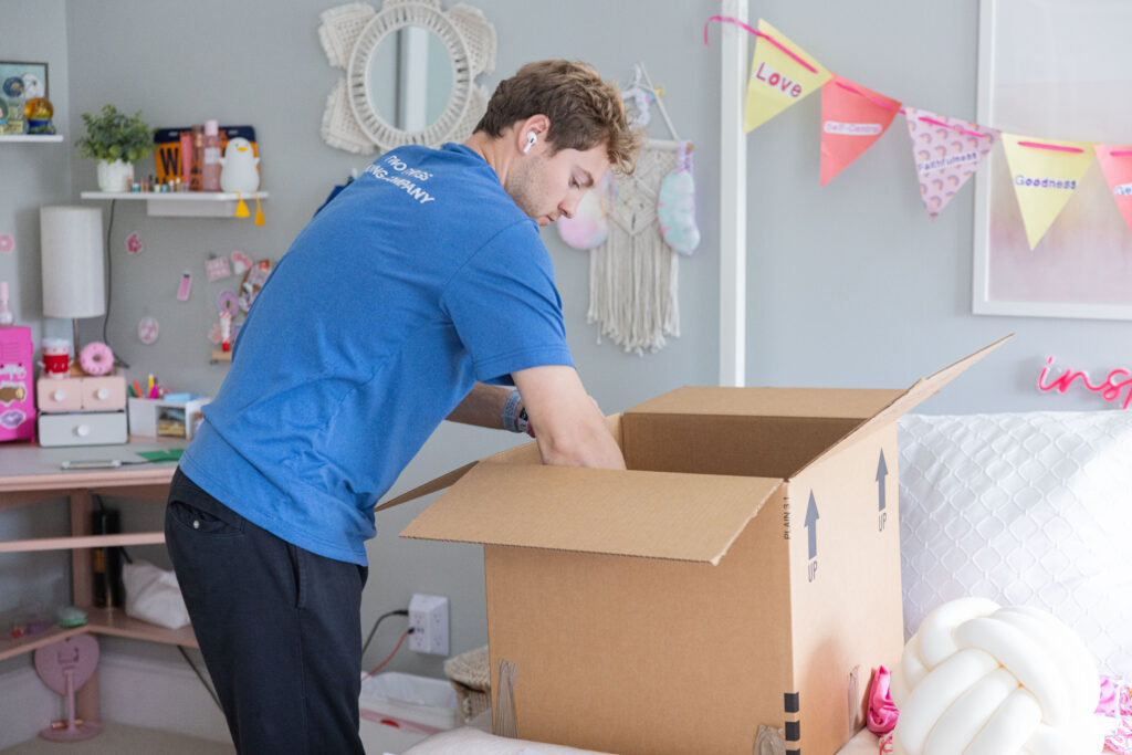 Furniture Movers