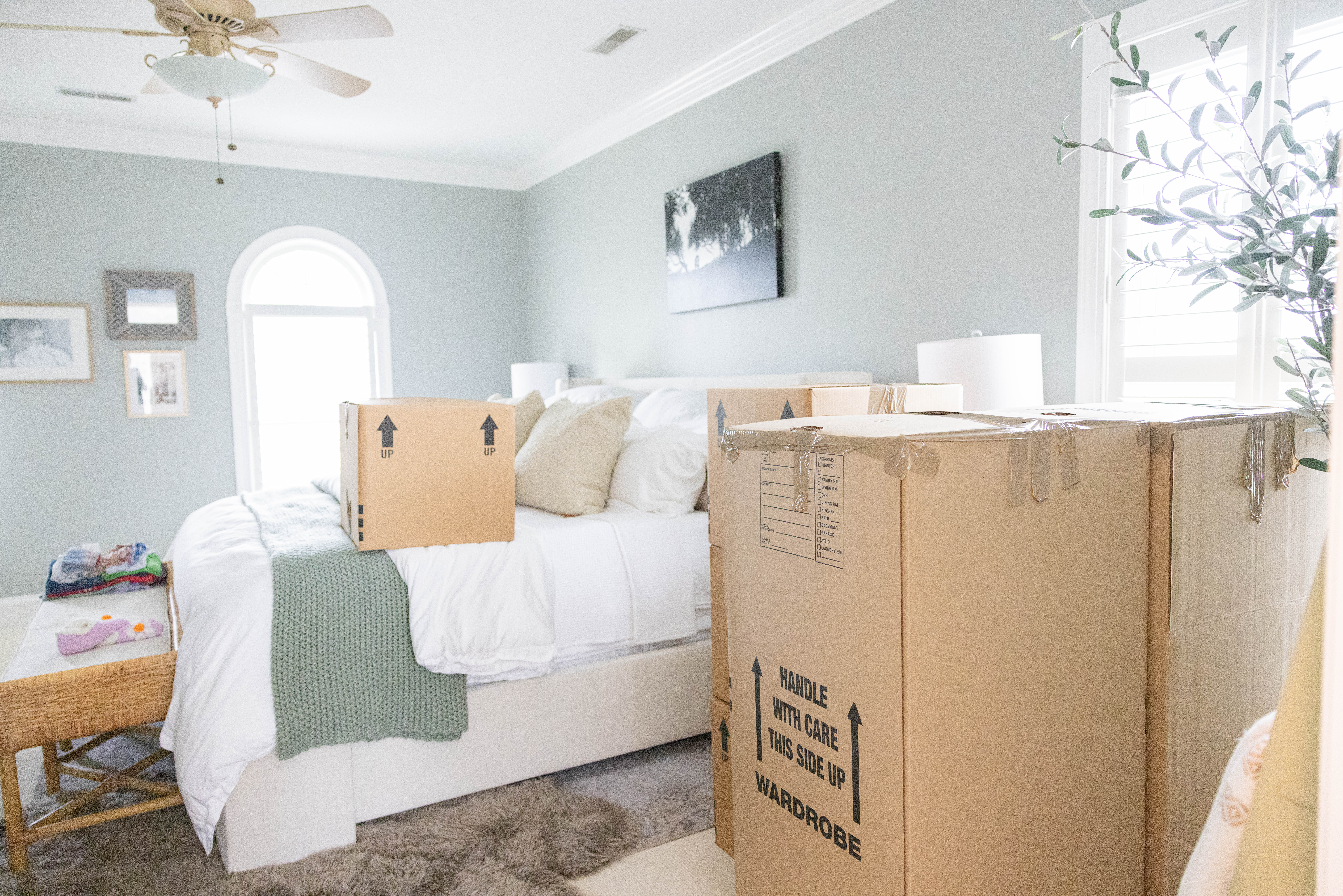 Furniture Movers